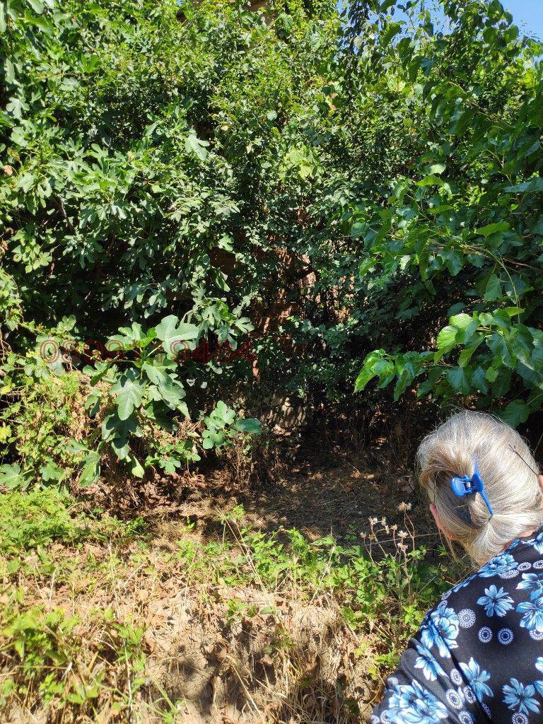 Продава ПАРЦЕЛ, с. Аканджиево, област Пазарджик, снимка 6 - Парцели - 52786617