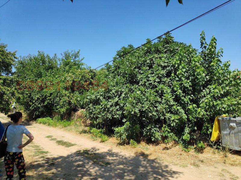 Продава ПАРЦЕЛ, с. Аканджиево, област Пазарджик, снимка 7 - Парцели - 52786617