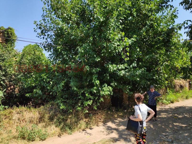 Продава ПАРЦЕЛ, с. Аканджиево, област Пазарджик, снимка 9 - Парцели - 52786617