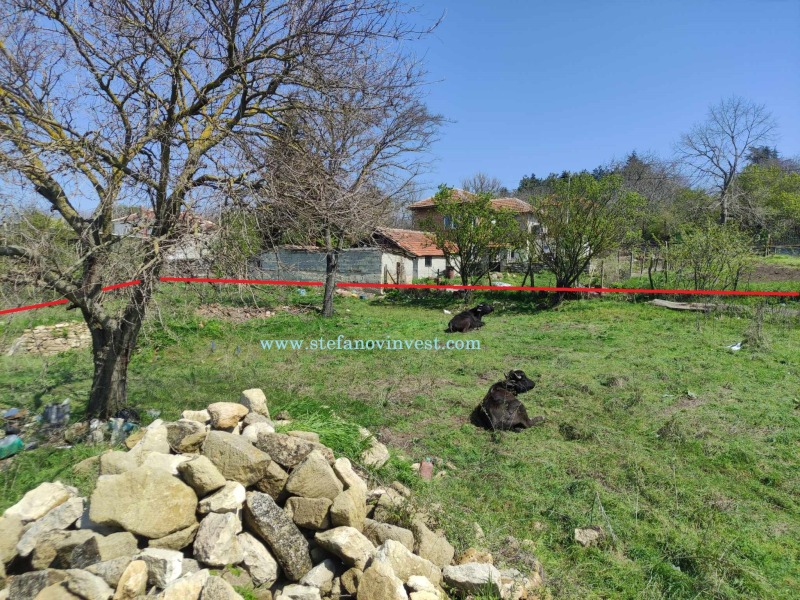 Satılık  Komplo bölge Varna , Avren , 950 metrekare | 22623237 - görüntü [5]