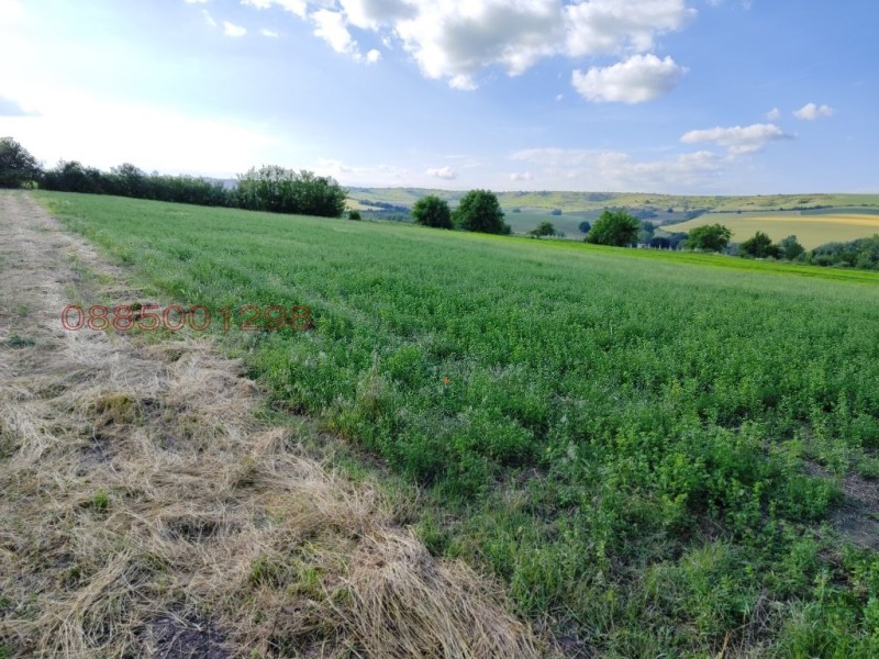 Продава ПАРЦЕЛ, с. Ягнило, област Варна