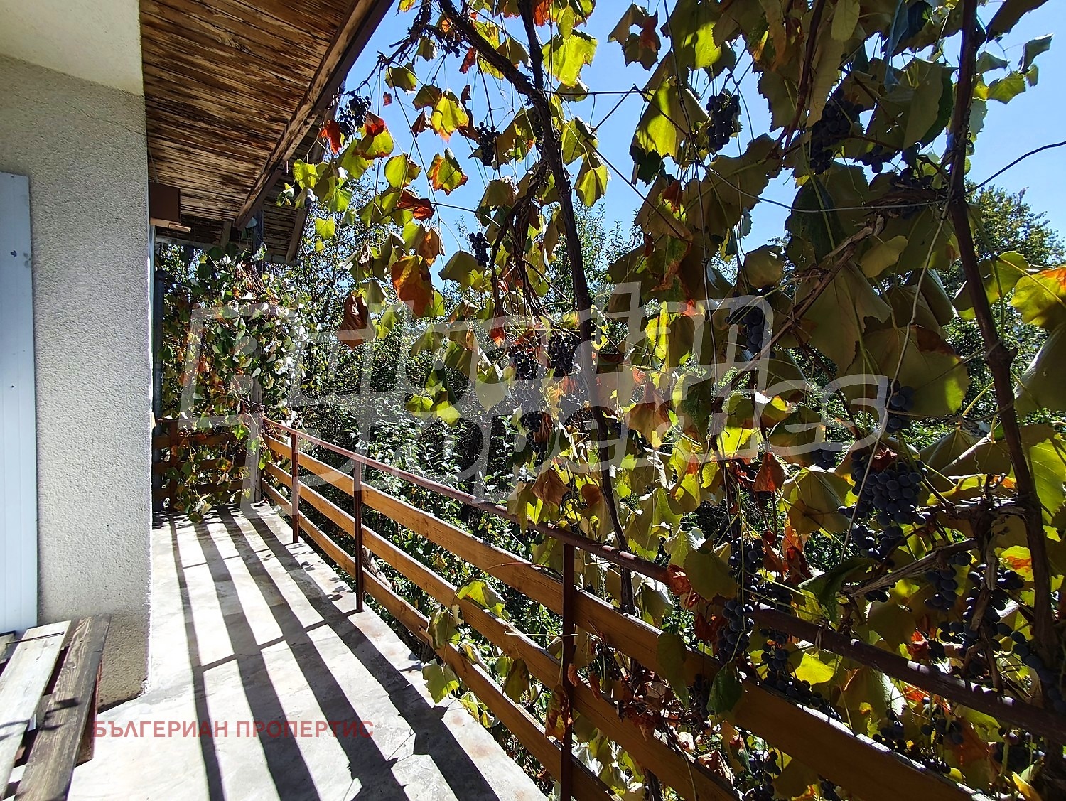 Продава КЪЩА, с. Голяма Желязна, област Ловеч, снимка 8 - Къщи - 56167569