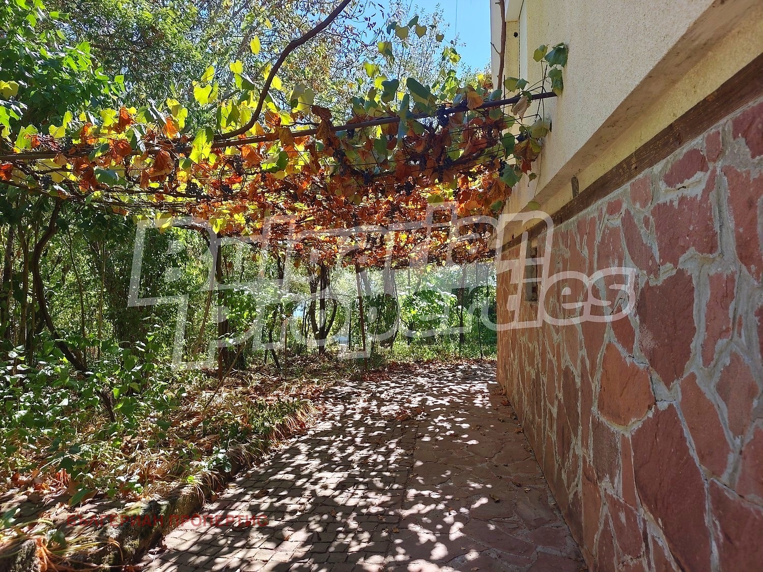 Продава КЪЩА, с. Голяма Желязна, област Ловеч, снимка 11 - Къщи - 56167569