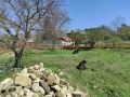 Продава ПАРЦЕЛ, област Варна, с. Аврен • 17500 € • 92976279 — Holmes.bg