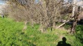 Продава ПАРЦЕЛ, област Варна, с. Ягнило • 11000 € / 21514.13 лв. • 19442459 7