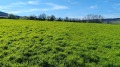 Продава ПАРЦЕЛ, област Варна, с. Ягнило • 11000 € / 21514.13 лв. • 19442459 3