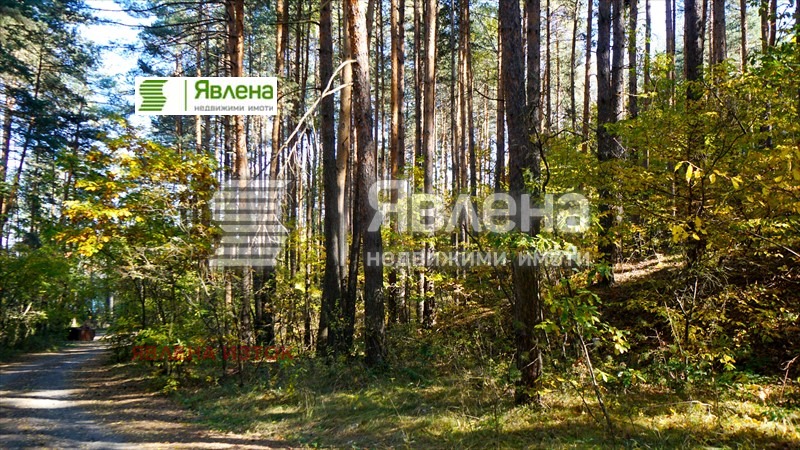 Продава ПАРЦЕЛ | Imot.bg — изображение 4