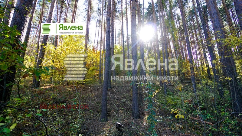 Продава ПАРЦЕЛ | Imot.bg — изображение 5