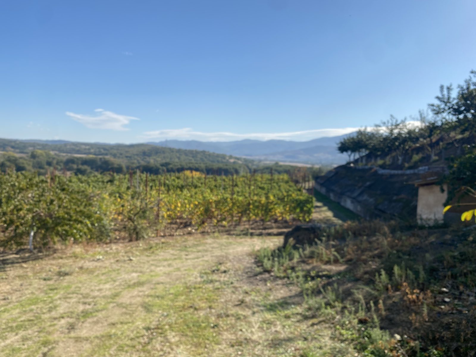 ������� ������ | Imot.bg � ����������� 13