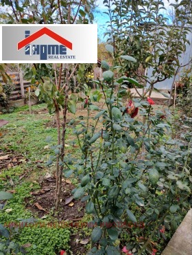 ������� ���� | Imot.bg � ����� ������ 14