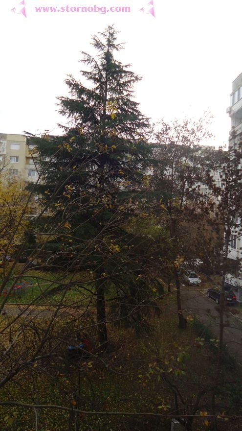 Продава 2-СТАЕН, гр. София, Младост 2, снимка 5 - Апартаменти - 52482767