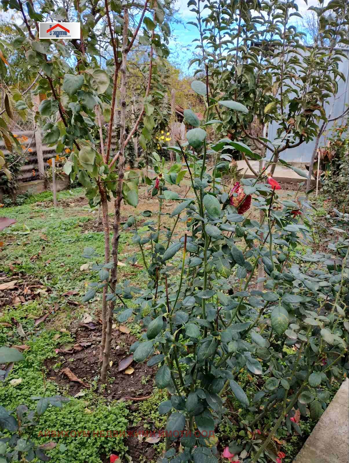 Продава КЪЩА, с. Крушовене, област Плевен, снимка 13 - Къщи - 54254379