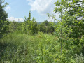 Продава КЪЩА, с. Здравец, област Търговище, снимка 14