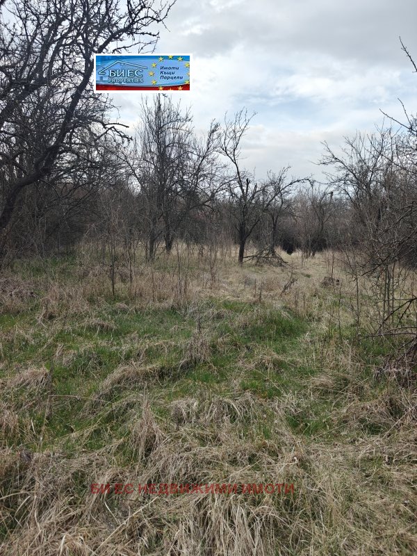 ������� ������ | Imot.bg � ����������� 5