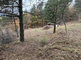 House Lukovo, region Sofia 6