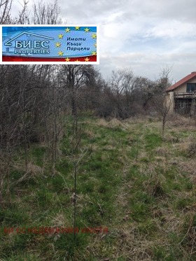 ����� ������� ������,�. ���������, ������ ������