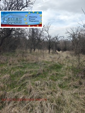 ������� ������ | Imot.bg � ����� ������ 5