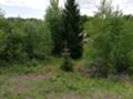 Продава ПАРЦЕЛ, гр. Смолян, Езерово, снимка 12