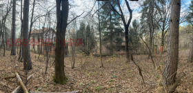 ����� ������� ������,���� �����, �������