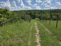 Продава ПАРЦЕЛ, с. Длъгня, област Габрово, снимка 2