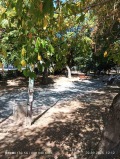 Продава 2-СТАЕН, град Благоевград, Идеален център • 89000 € • 53198892 — Holmes.bg