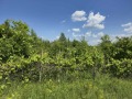 Продава ПАРЦЕЛ, с. Длъгня, област Габрово, снимка 3