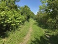 Продава ПАРЦЕЛ, с. Длъгня, област Габрово, снимка 6