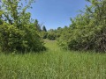 Продава ПАРЦЕЛ, с. Длъгня, област Габрово, снимка 1