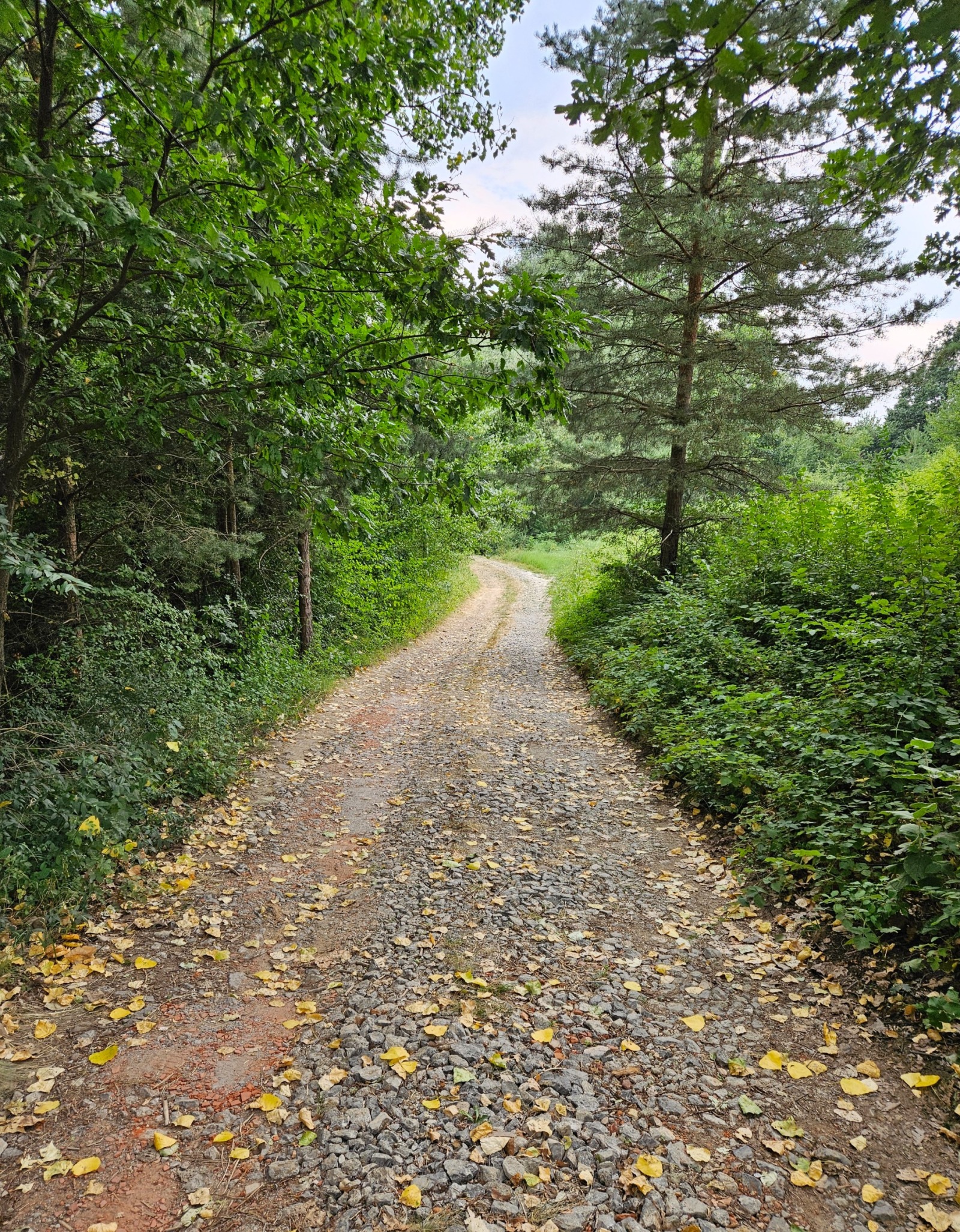 Продава ПАРЦЕЛ | Imot.bg — изображение 2