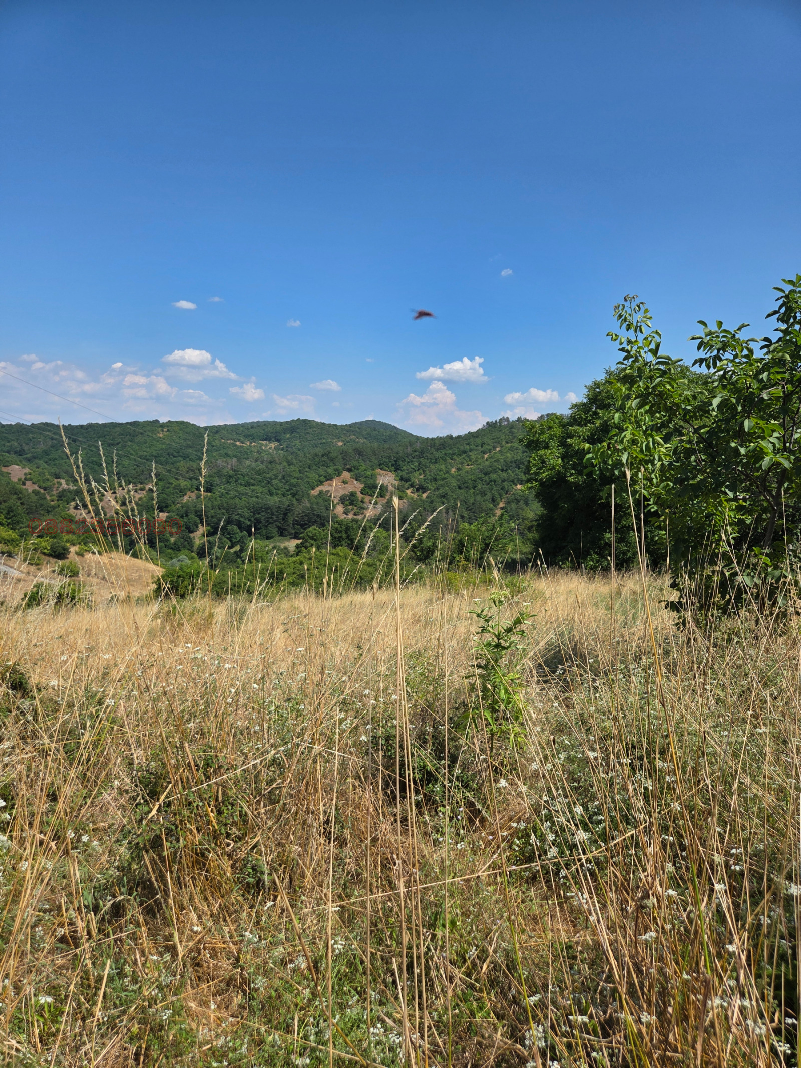 ������� ������ | Imot.bg � ����������� 4