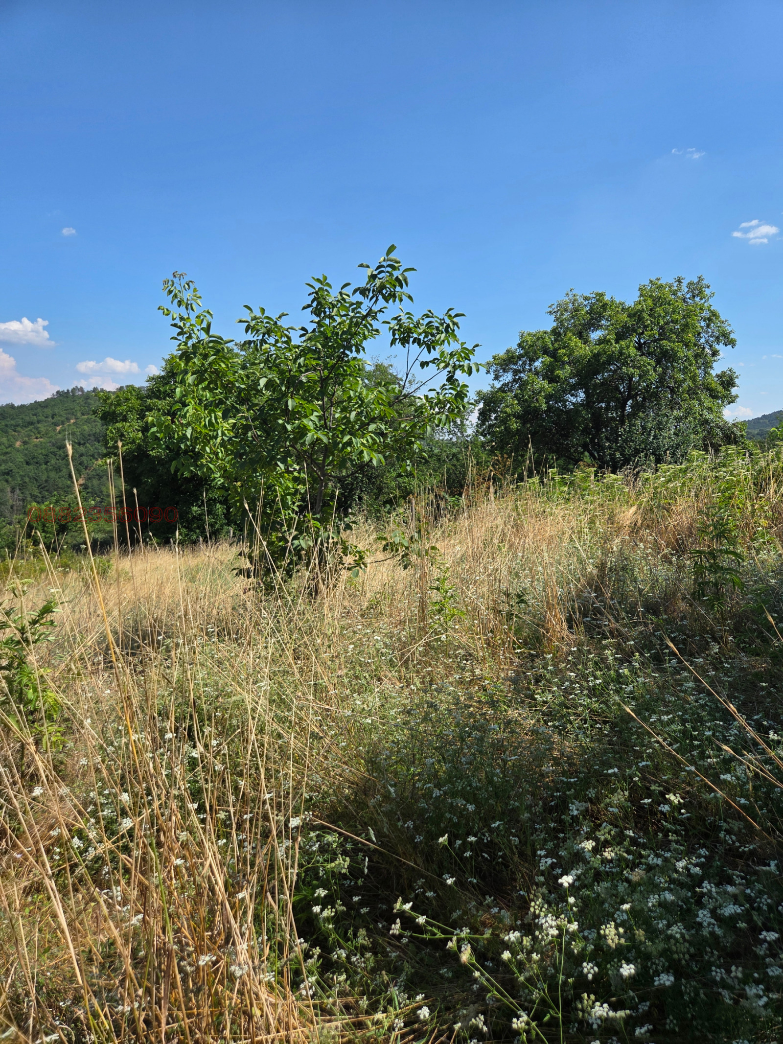 ������� ������ | Imot.bg � ����������� 3