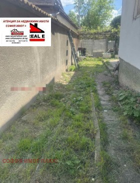 ����� ������� ����,���� �����, ����������