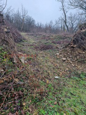 ������� ������ | Imot.bg � ����� ������ 3