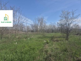 ����� ������� ������,���� �����, ������� ���������� ����