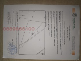 ������ ������� ������