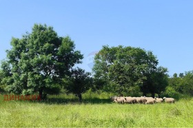 Plott Sredets, region Burgas