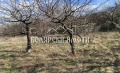 Продава ПАРЦЕЛ, с. Самоводене, област Велико Търново, снимка 2