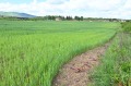 Продава ПАРЦЕЛ, град София, с. Мало Бучино • 494000 € • 76290907 — Holmes.bg