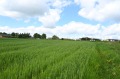 Продава ПАРЦЕЛ, град София, с. Мало Бучино • 494000 € • 76290907 — Holmes.bg