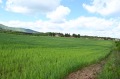 Продава ПАРЦЕЛ, град София, с. Мало Бучино • 494000 € • 76290907 — Holmes.bg