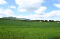Продава ПАРЦЕЛ, град София, с. Мало Бучино • 494000 € • 76290907 — Holmes.bg