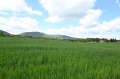 Продава ПАРЦЕЛ, град София, с. Мало Бучино • 494000 € • 76290907 — Holmes.bg