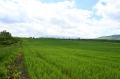 Продава ПАРЦЕЛ, град София, с. Мало Бучино • 494000 € • 76290907 — Holmes.bg