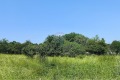 Продава ПАРЦЕЛ, област Бургас, гр. Средец • 3785 € • 88898989 — Holmes.bg
