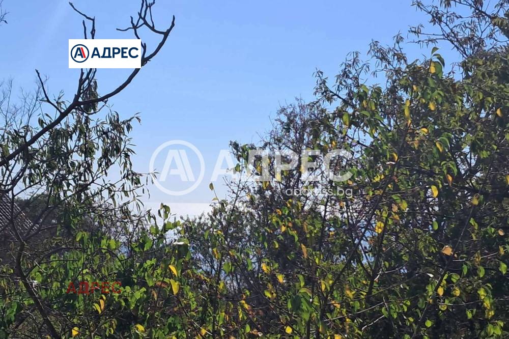 ������� ������ | Imot.bg � ����������� 1