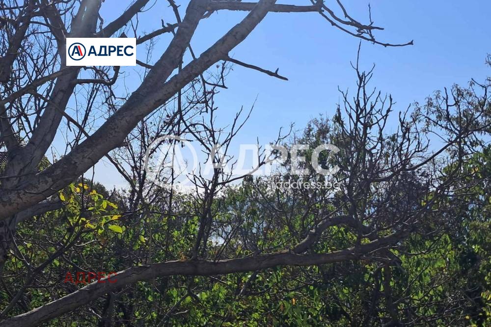 ������� ������ | Imot.bg � ����������� 2