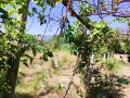 Продава ПАРЦЕЛ, област Враца, с. Ребърково • 22000 лв. • 79212186 — Holmes.bg