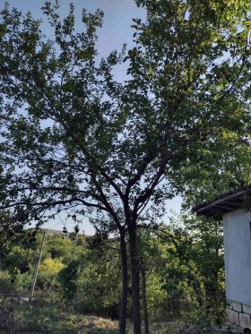 ������� ���� | Imot.bg � ����� ������ 5