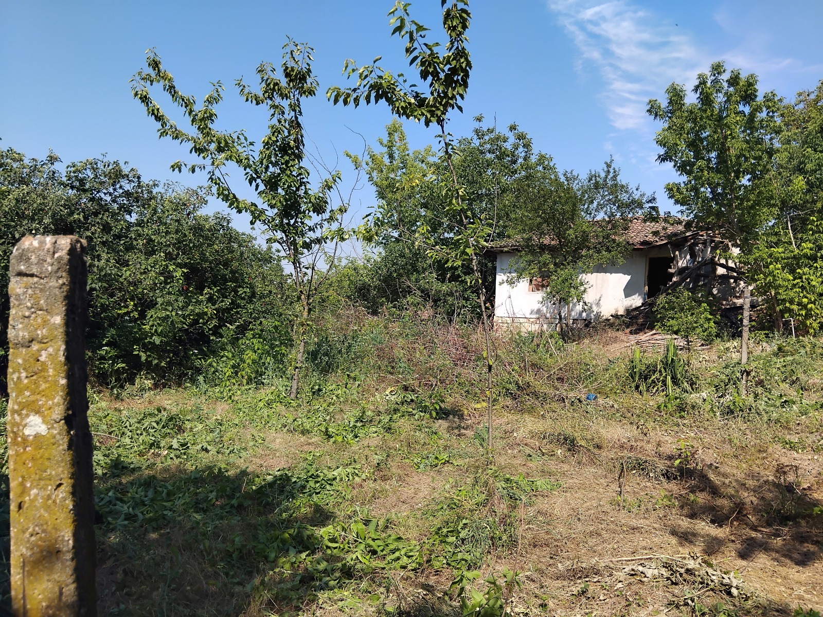 Продава КЪЩА, с. Тетово, област Русе, снимка 6 - Къщи - 55691198