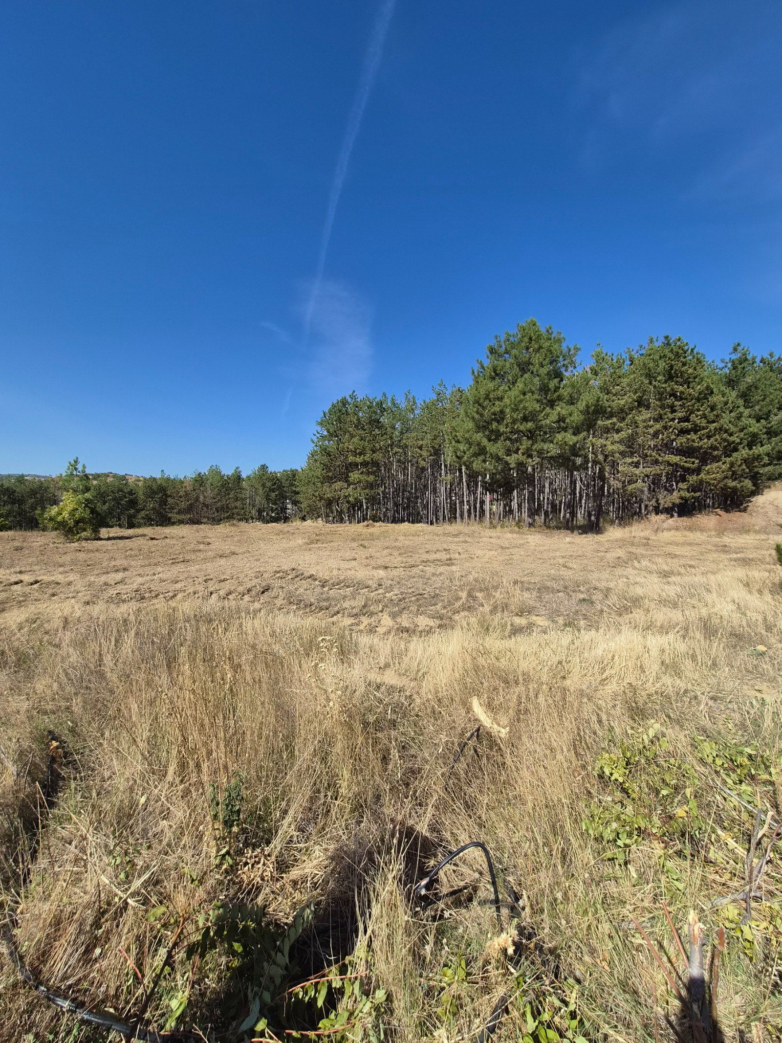 Продава ПАРЦЕЛ, гр. Стара Загора, Студентско градче, снимка 8 - Парцели - 56493376